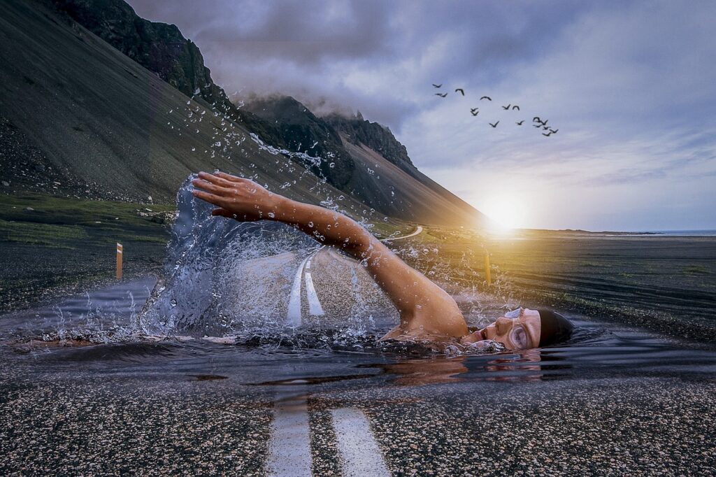manipulation, swim, swimmer, crawl, road, asphalt, street, birds, swimmer, swimmer, swimmer, swimmer, swimmer, road, road, road
